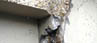 Concrete Facade Cracking
