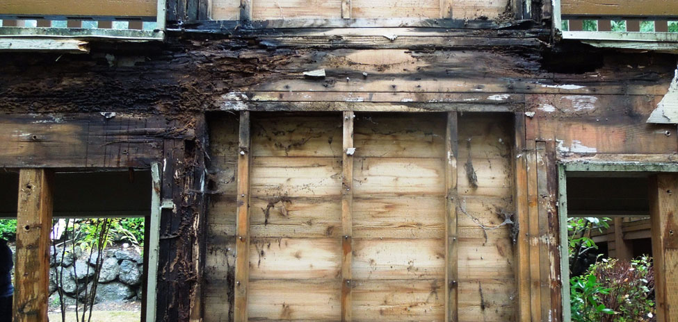 Forensic Architecture & Engineering for a deteriorated walkway in WA